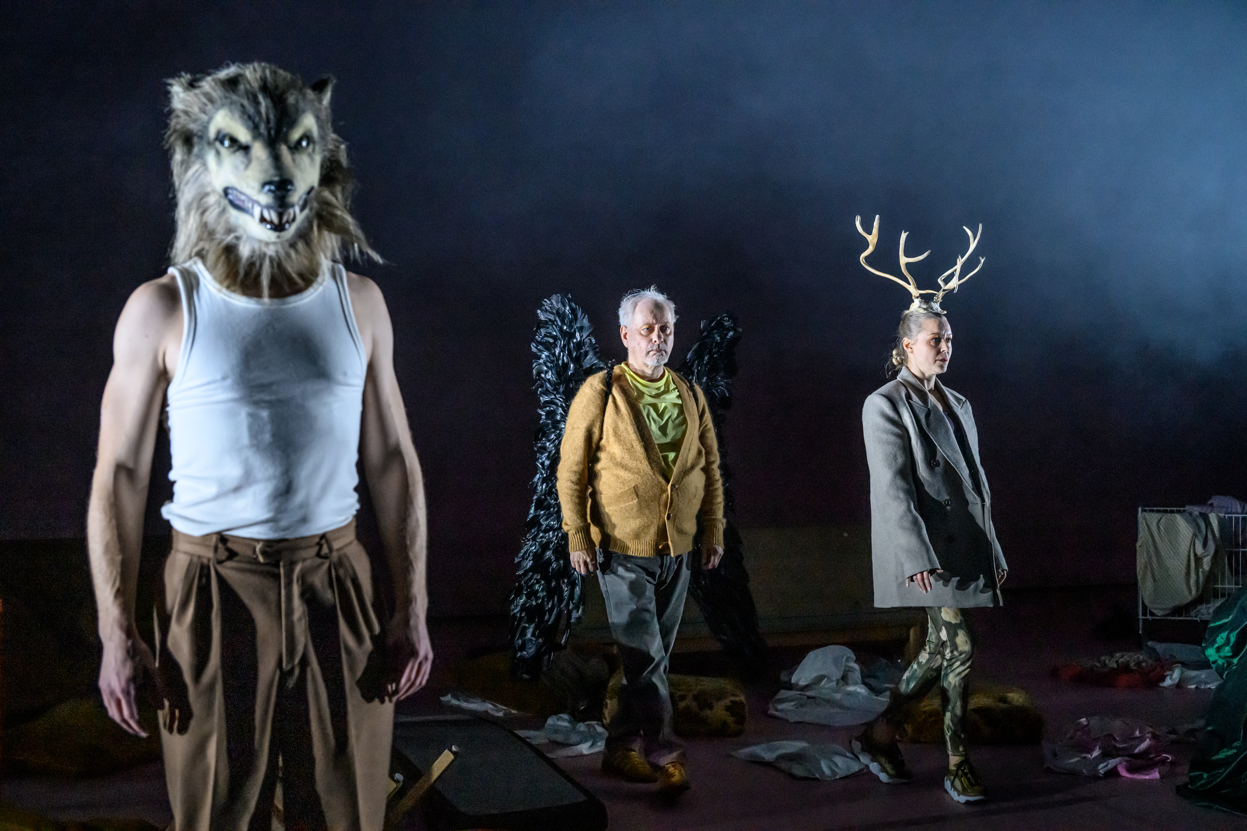 Fotograf: Sören Vilks